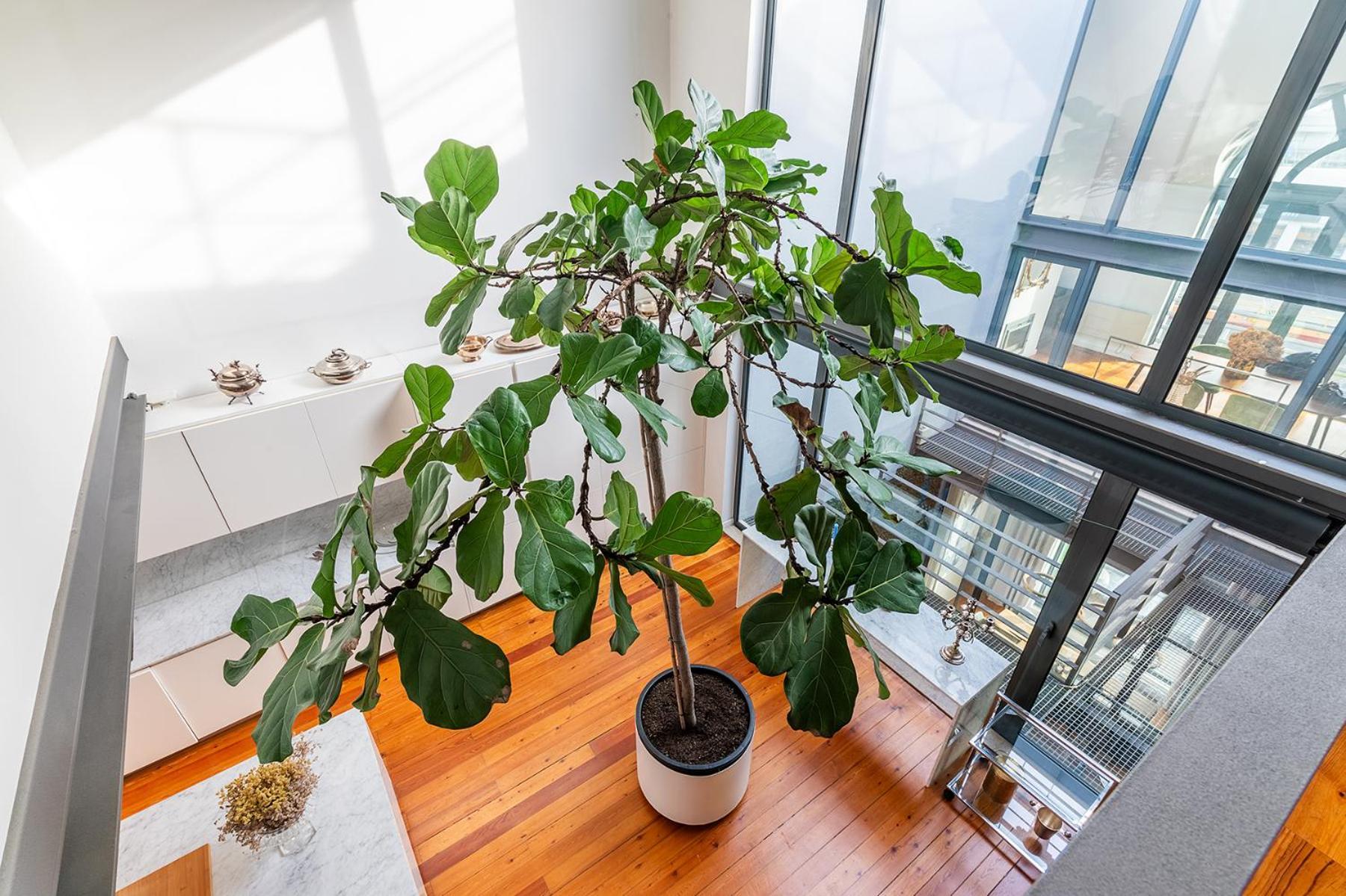Luxurious Loft - River View * Lisboa