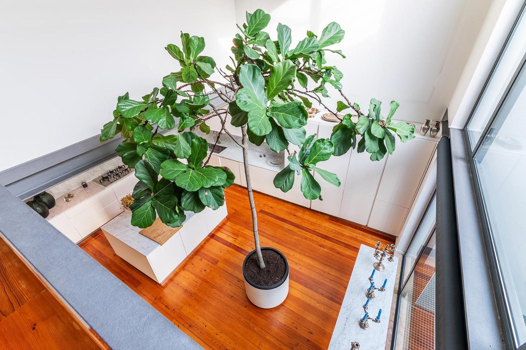 Apartamento Luxurious Loft - River View